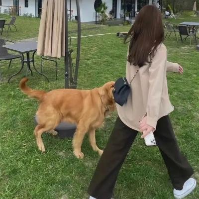 爱在心中