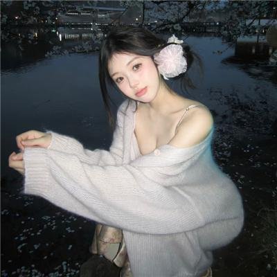 哈兰·科本的庇护所